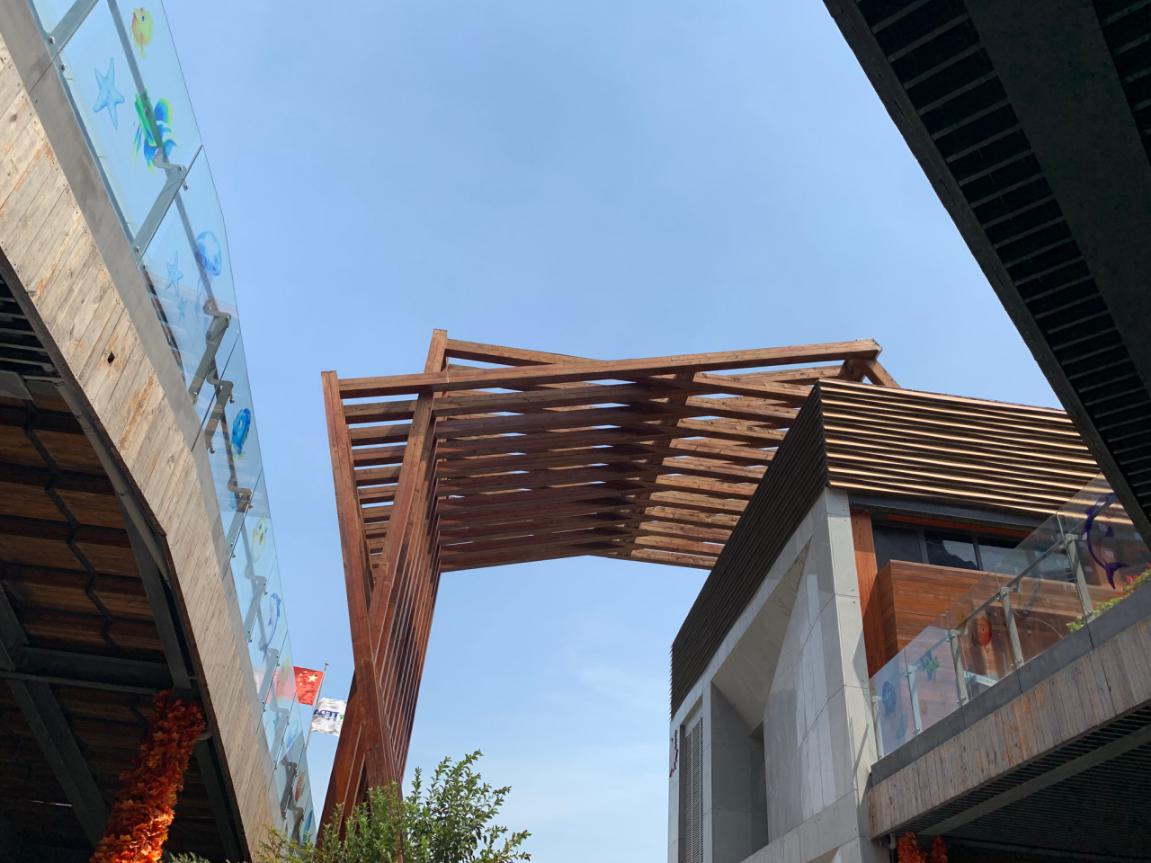 图片19.jpg 图片19.jpg